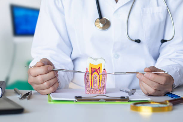 Best Pediatric Emergency Dentist in Dakota City, NE